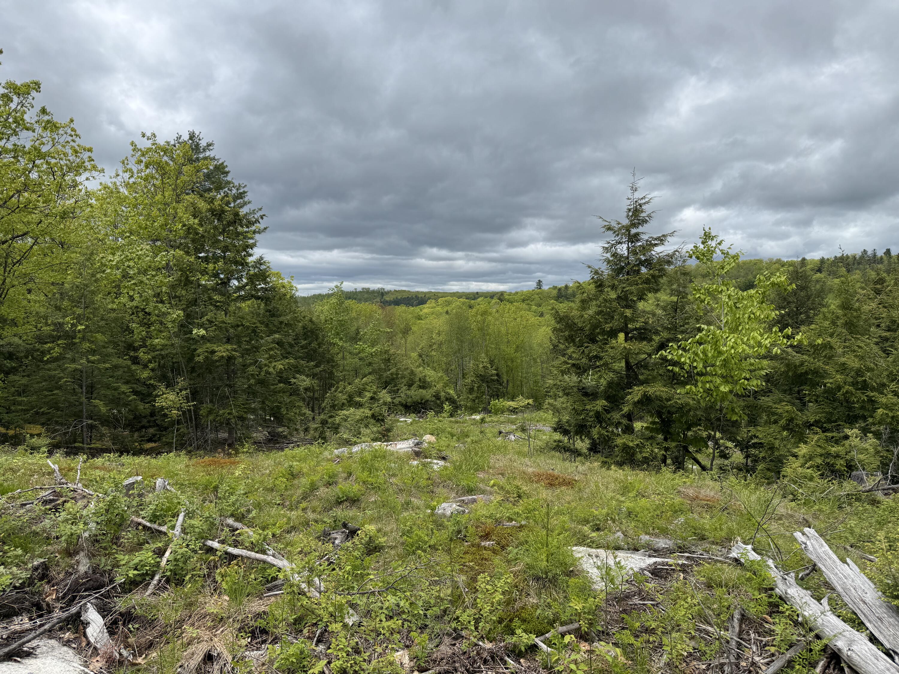 0 Baldwin Hill Road Kents Hill, ME 04349 - Photo 8 of 13 IMG_9853