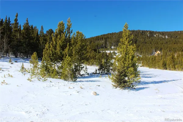 $25,000 | 309 Aspen Idaho Springs, Idaho Springs, CO 80452