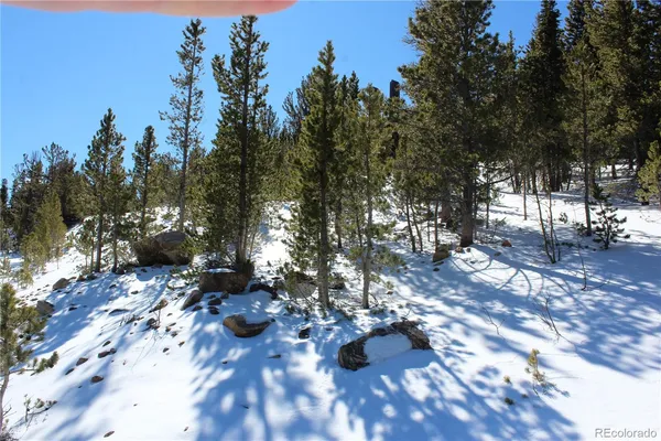 $25,000 | 309 Aspen Idaho Springs, Idaho Springs, CO 80452