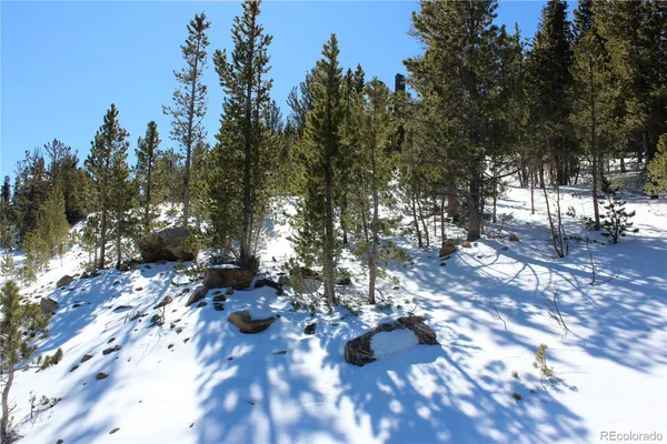 $25,000 | 309 Aspen Idaho Springs, Idaho Springs, CO 80452