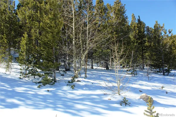 $25,000 | 309 Aspen Idaho Springs, Idaho Springs, CO 80452