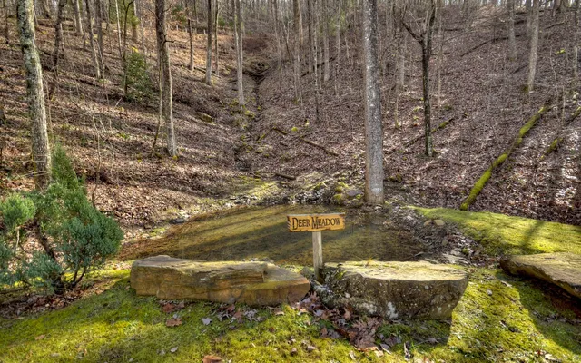 $1,650,000 | 62 Old Covered Bridge Lane, Cherry Log, GA 30522