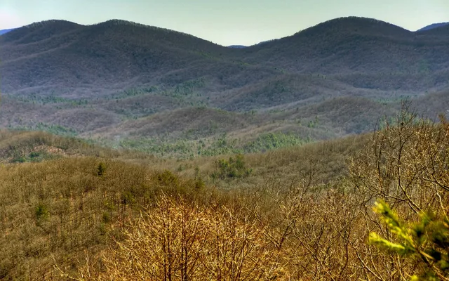 $1,650,000 | 62 Old Covered Bridge Lane, Cherry Log, GA 30522