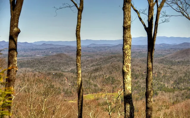 $1,650,000 | 62 Old Covered Bridge Lane, Cherry Log, GA 30522