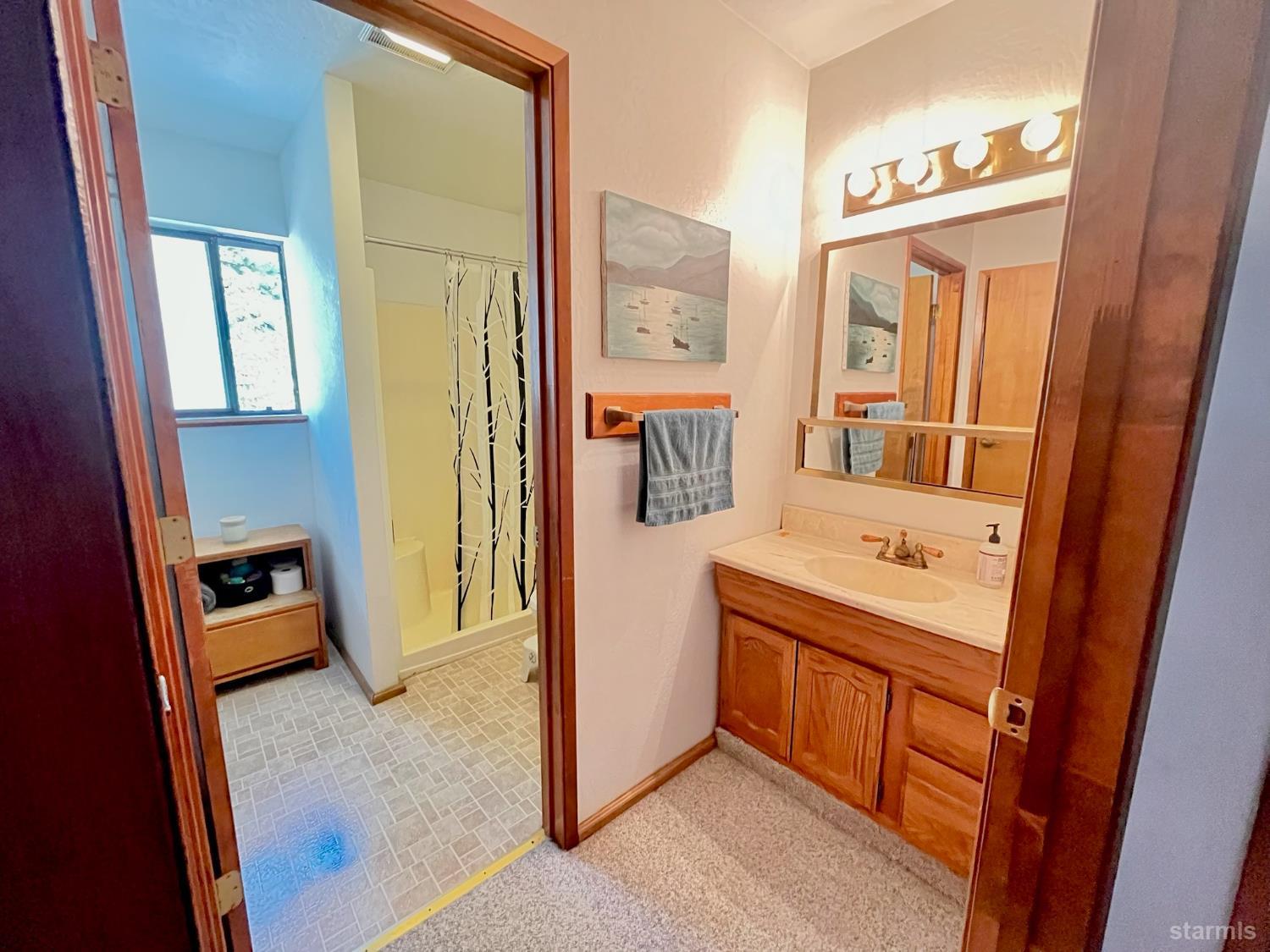 50 Canon View Markleeville, CA 96120 - Photo 15 of 21 a bathroom with a sink a mirror and a shower