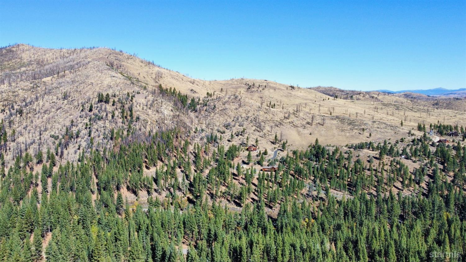 50 Canon View Markleeville, CA 96120 - Photo 21 of 21 a view of a mountain range with lush green forest