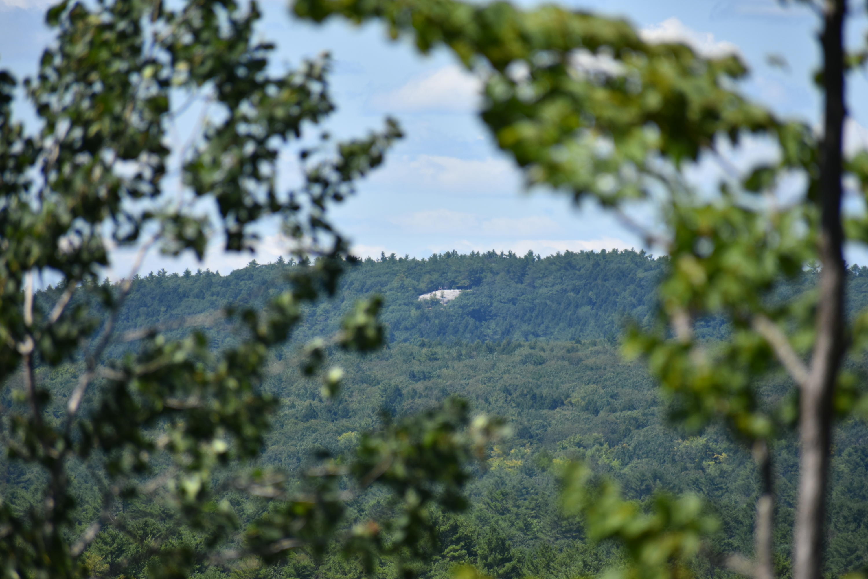304 Pownal Road Freeport, ME 04032 - Photo 12 of 27 DSC_0410