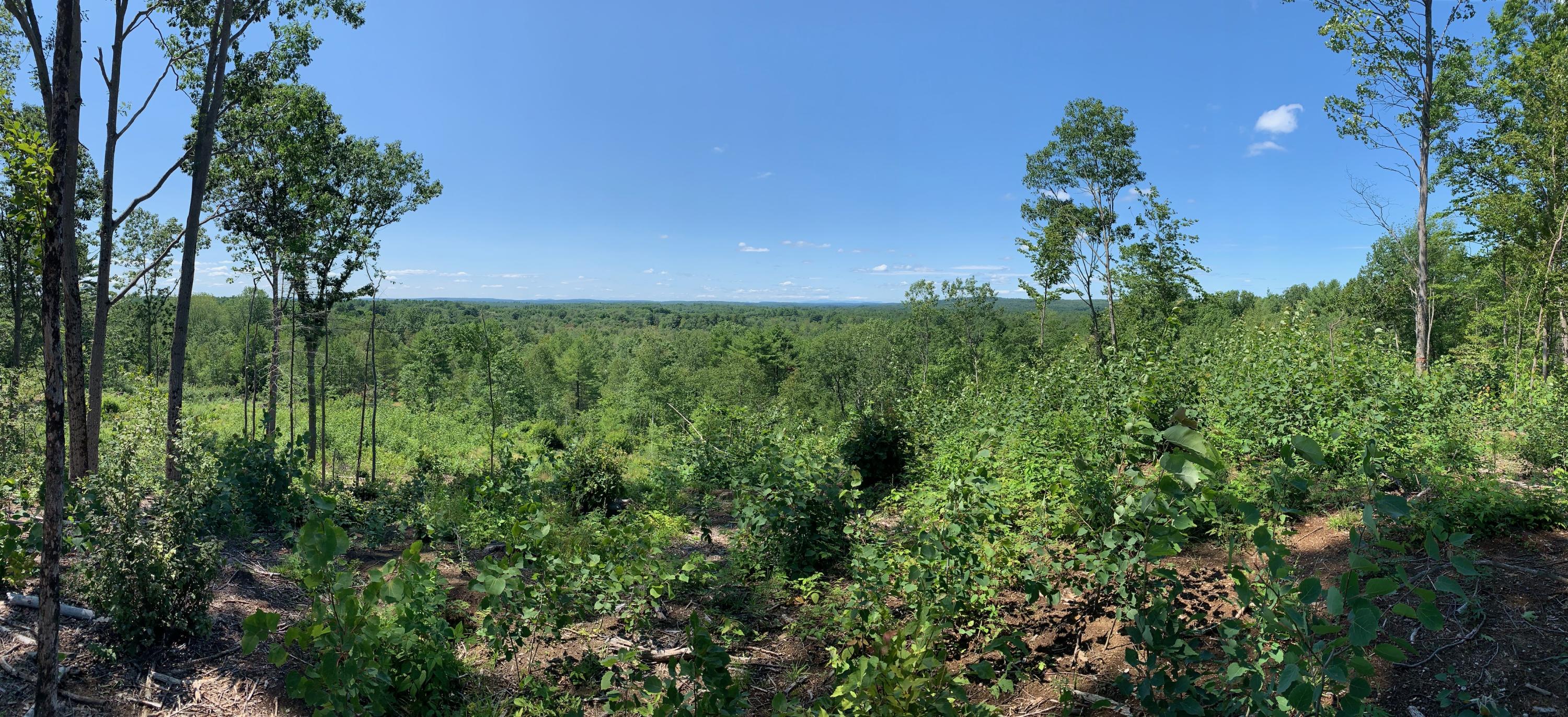 304 Pownal Road Freeport, ME 04032 - Photo 19 of 27 IMG_4537