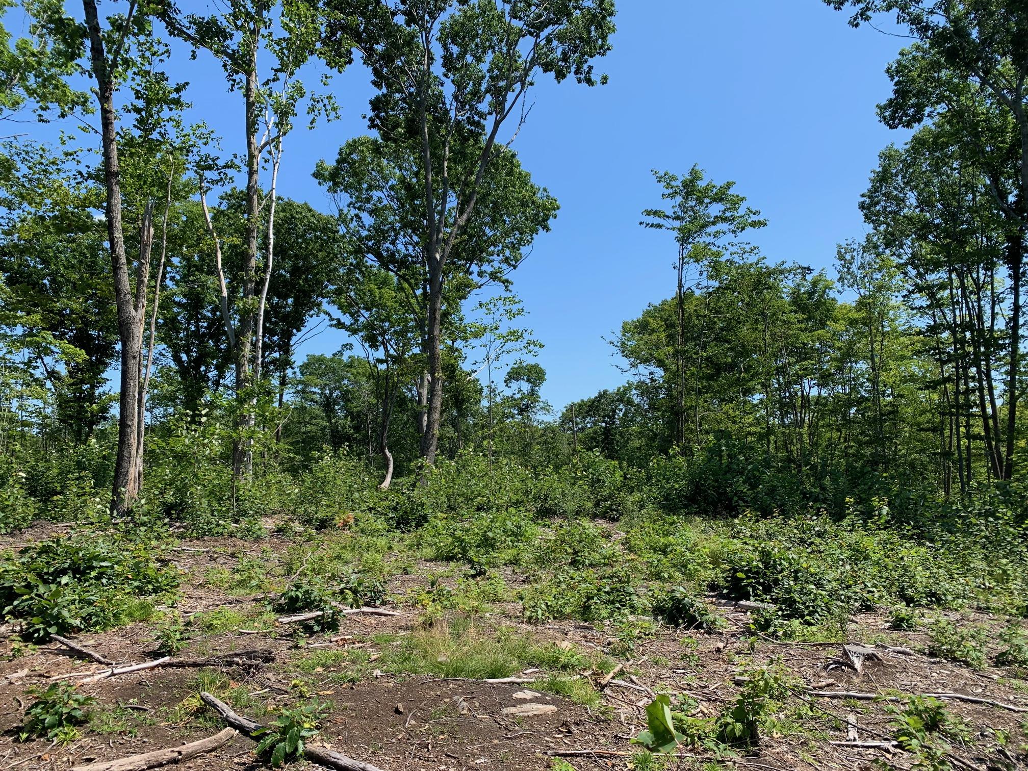 304 Pownal Road Freeport, ME 04032 - Photo 24 of 27 IMG_4542