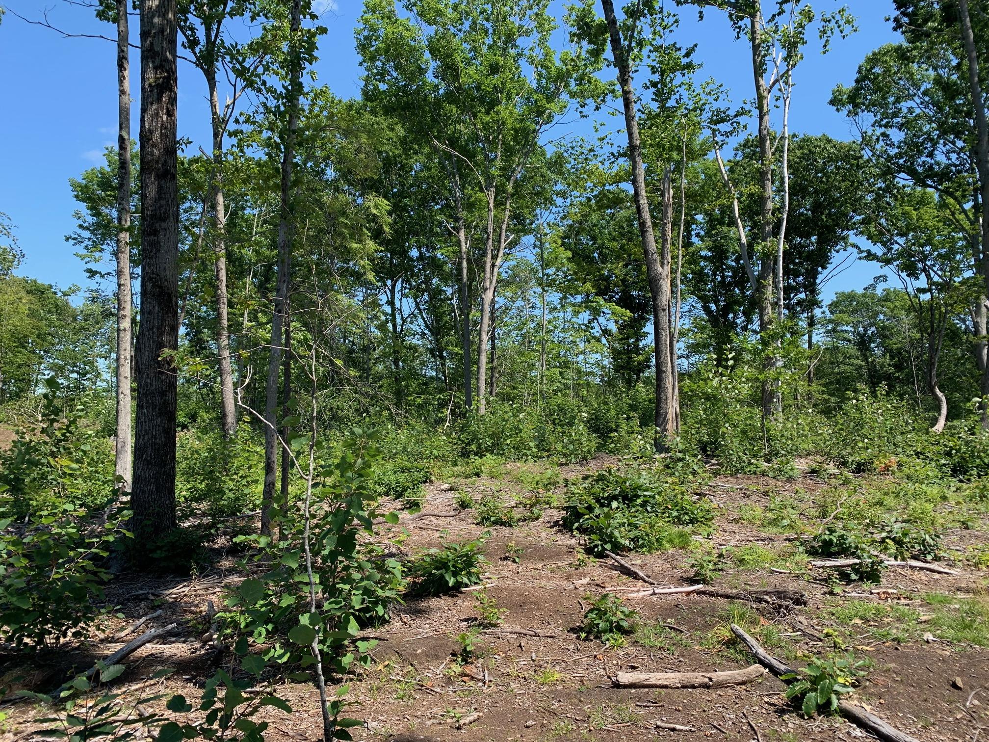 304 Pownal Road Freeport, ME 04032 - Photo 25 of 27 IMG_4543