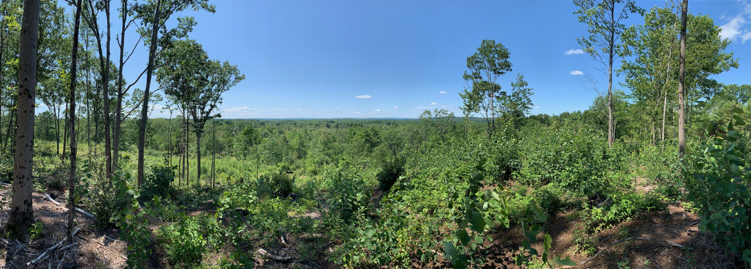 304 Pownal Road Freeport, ME 04032 - Photo 27 of 27 IMG_4545