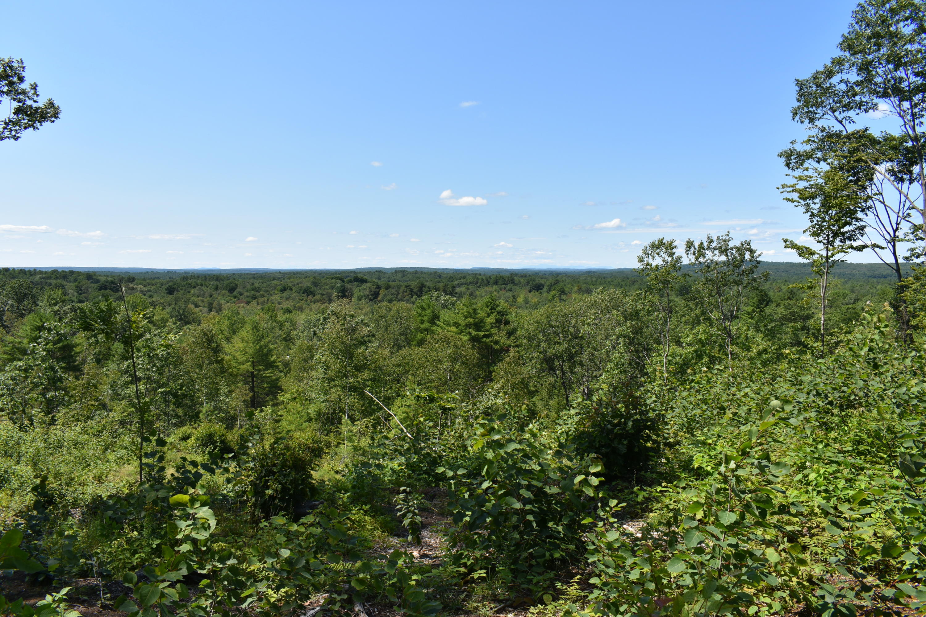 304 Pownal Road Freeport, ME 04032 - Photo 3 of 27 DSC_0400