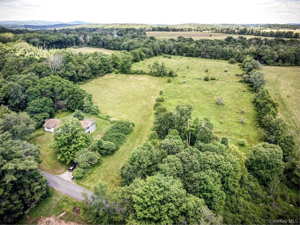 196 Gabriel Road Cochecton, NY 12726 - Photo 6 of 7