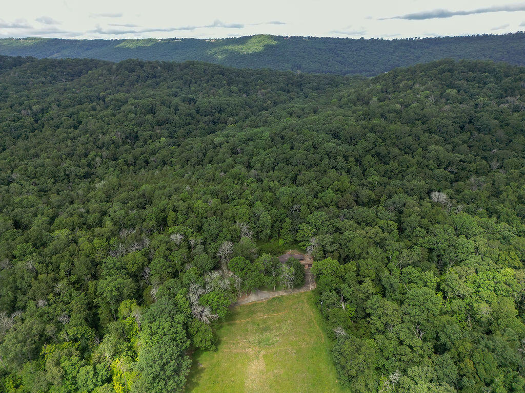 2292 McKaig Road Trenton, GA 30752 - Photo 50 of 53 DJI_0350