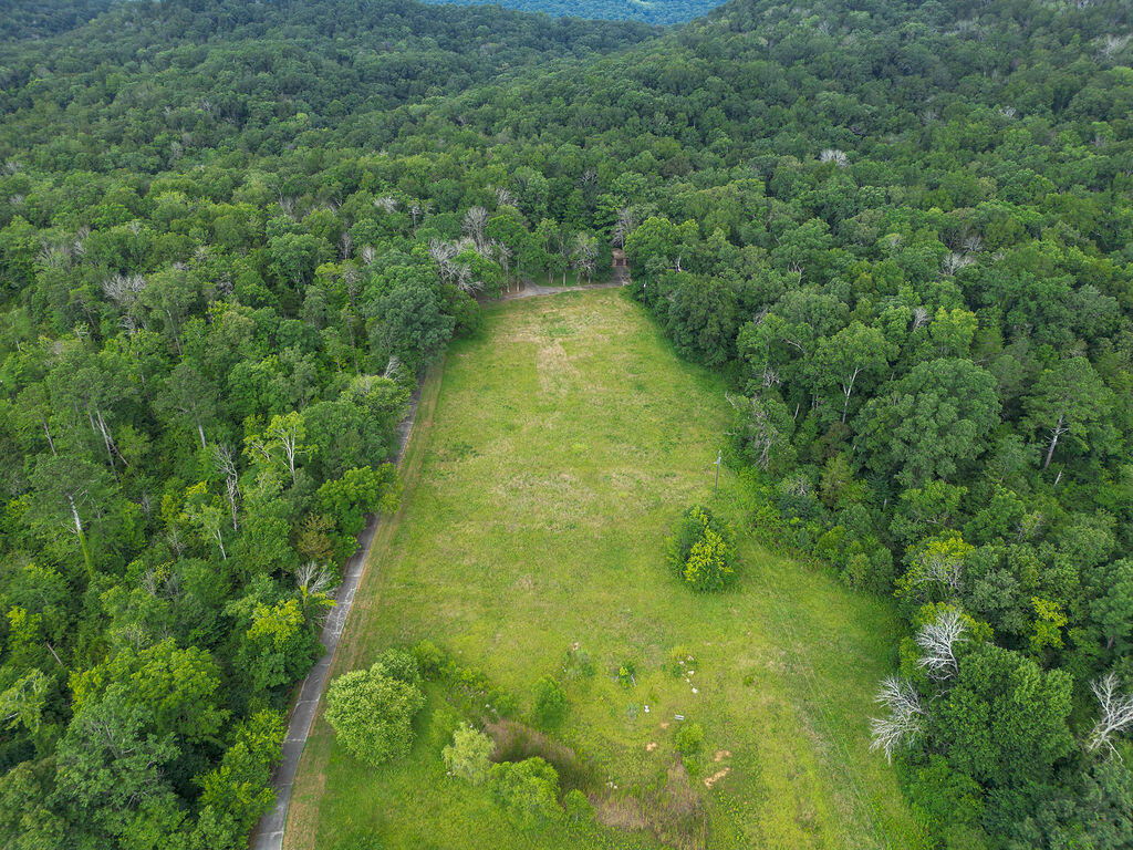 2292 McKaig Road Trenton, GA 30752 - Photo 51 of 53 DJI_0354