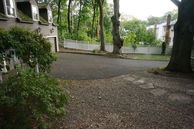 a view of a yard with plants and trees