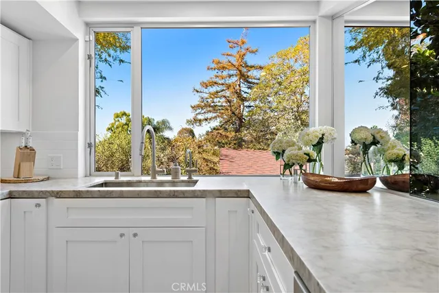 a view of a garden with a tree