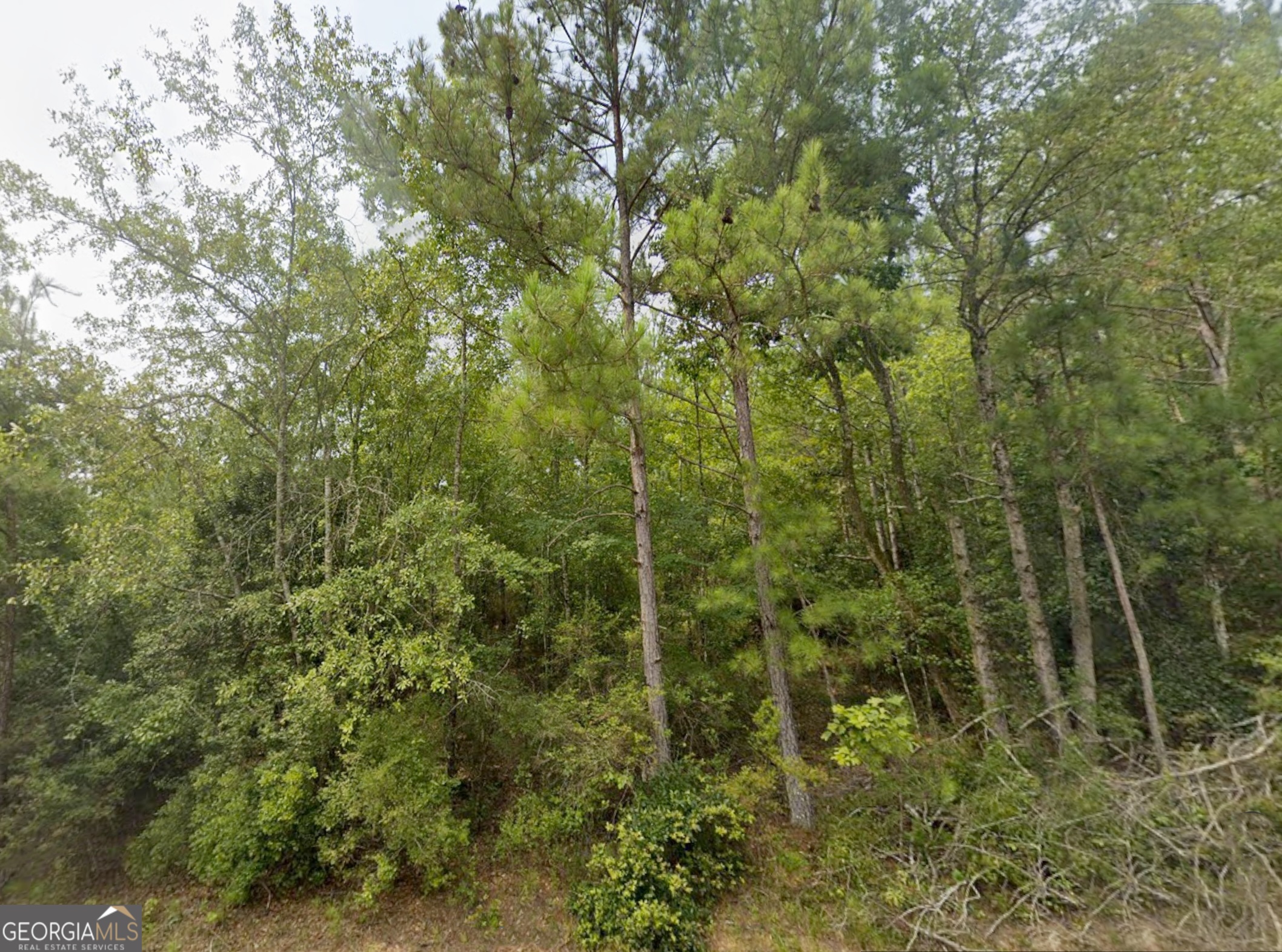 0 East Old Wire Road, Unit 18 Butler, GA 31006 - Photo 3 of 19