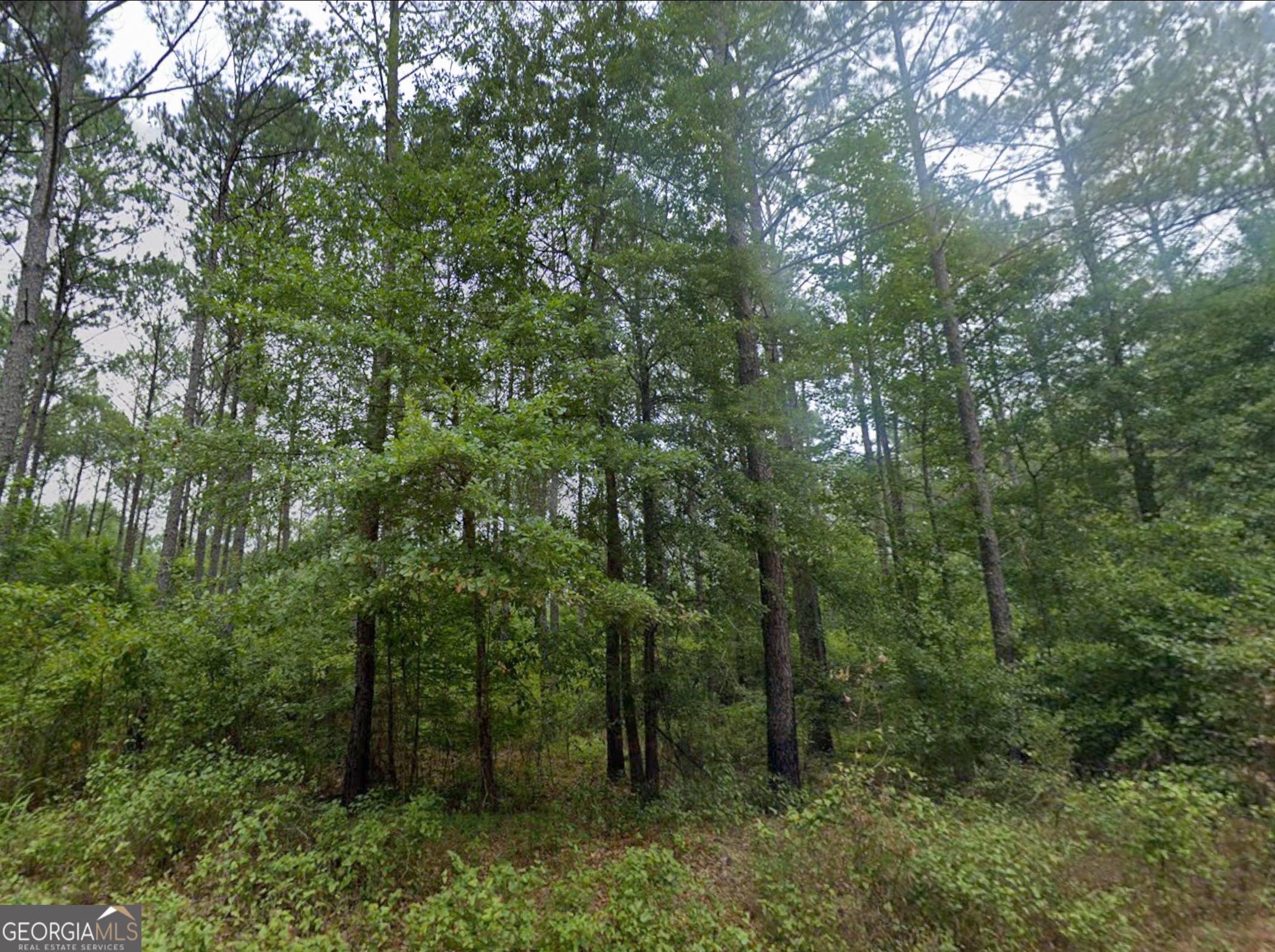0 East Old Wire Road, Unit 18 Butler, GA 31006 - Photo 8 of 19