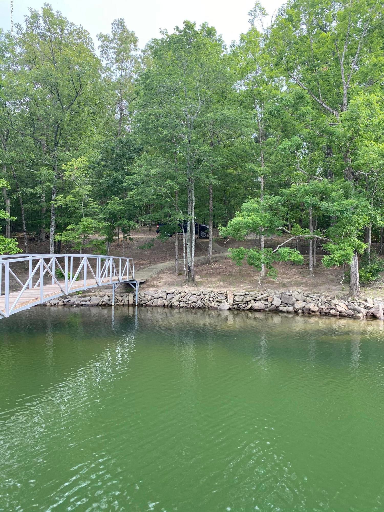 102 Stoney Point Road North Double Springs, AL 35553 - Photo 3 of 6 Gallery Image 3