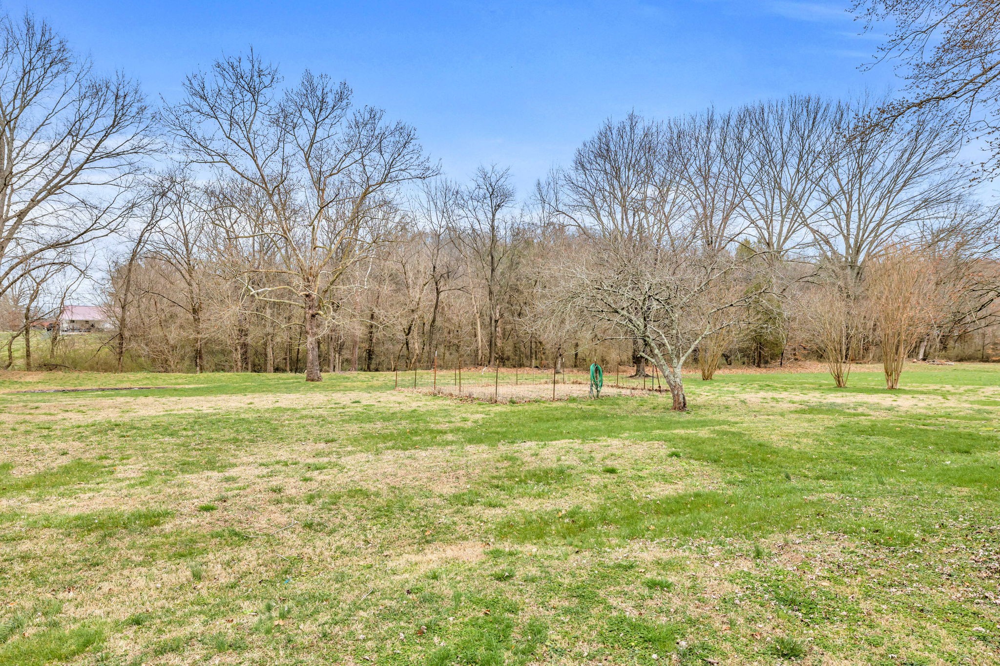 8808 Joy Rd Mount Mount Pleasant, TN 38474 - Photo 30 of 33 Gallery Image 30