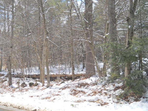 91 Stowell Road Ashburnham, MA 01430 - Photo 6 of 18