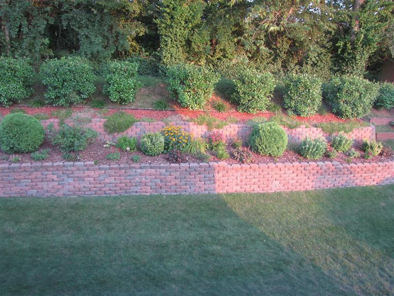 349 Winton Road Versailles, KY 40383 - Photo 29 of 36 View of professionaly landscaped yard fr