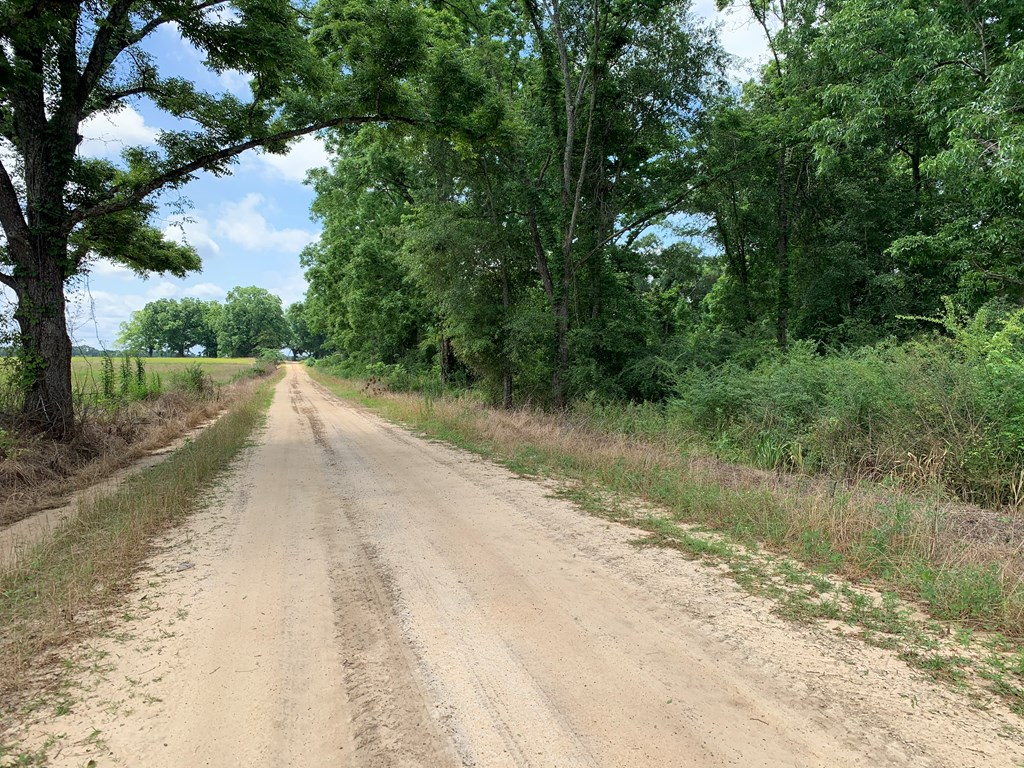 0 Corinth Road Slocomb, AL 36375 - Photo 7 of 11