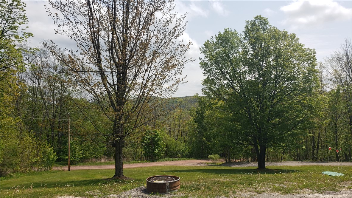 145 Rainbow Ridge Road Jefferson, NY 12167 - Photo 9 of 41