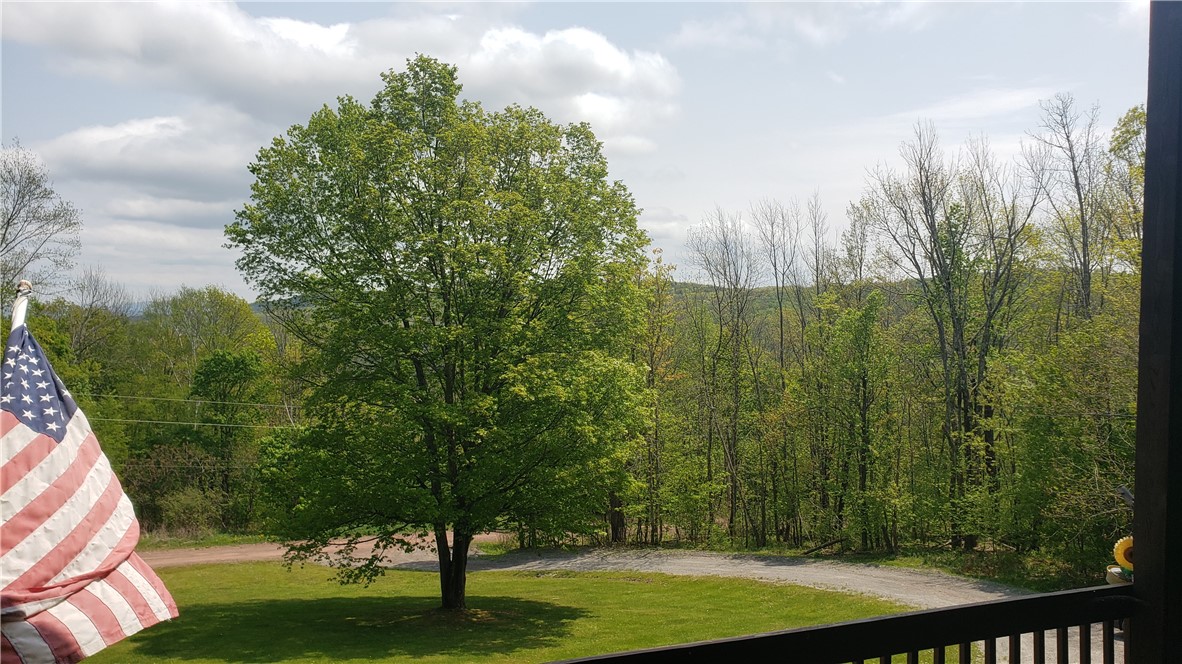 145 Rainbow Ridge Road Jefferson, NY 12167 - Photo 10 of 41