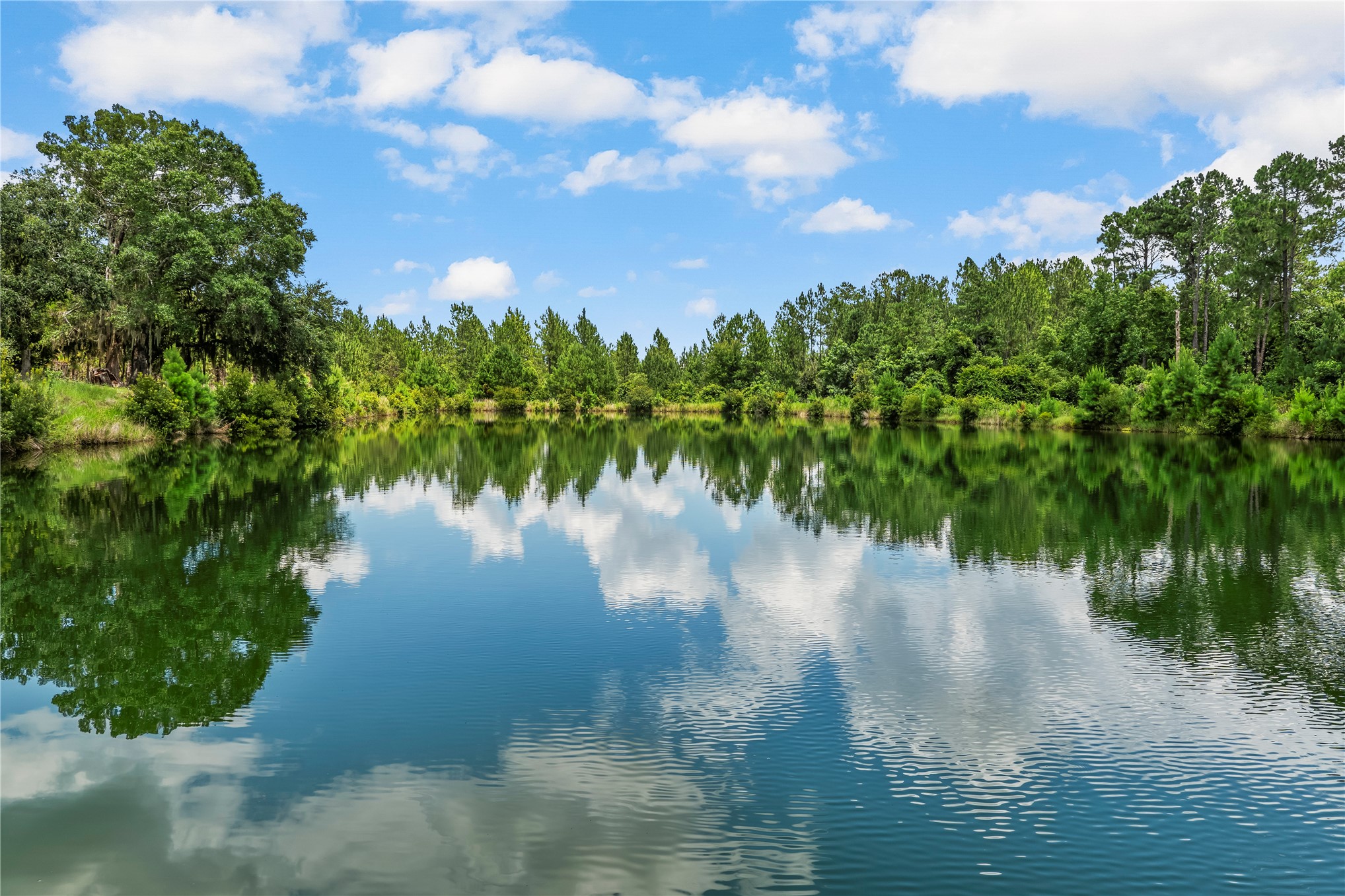 27247 Hallman Road Hilliard, FL 32046 - Photo 55 of 59 a view of a lake from a yard