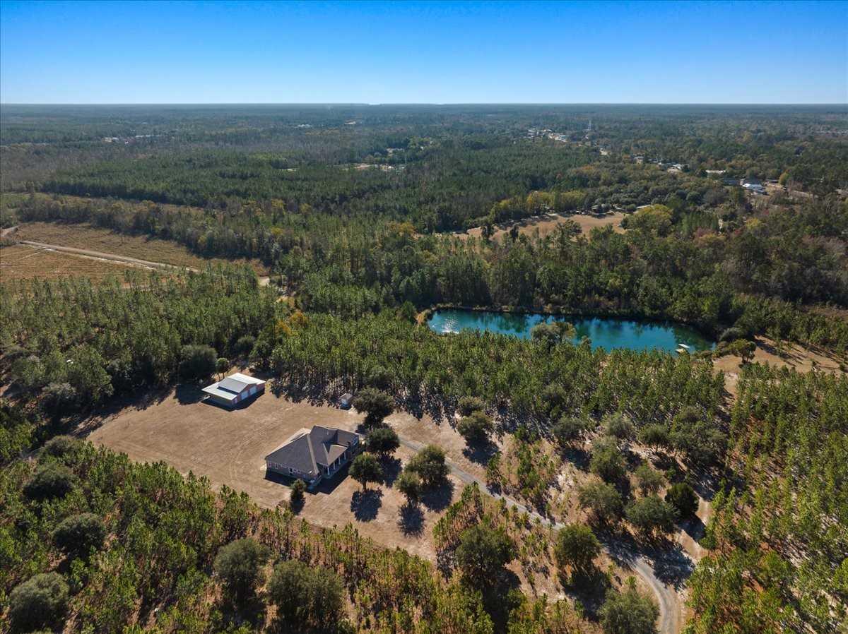 27247 Hallman Road Hilliard, FL 32046 - Photo 57 of 59 an aerial view of a residential houses with outdoor space and trees