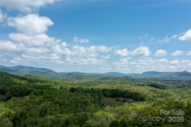 a view of a city with lush green forest