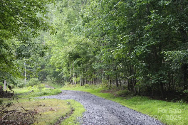 a view of a park with large trees