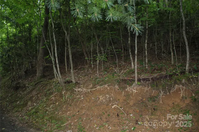 a view of an outdoor space