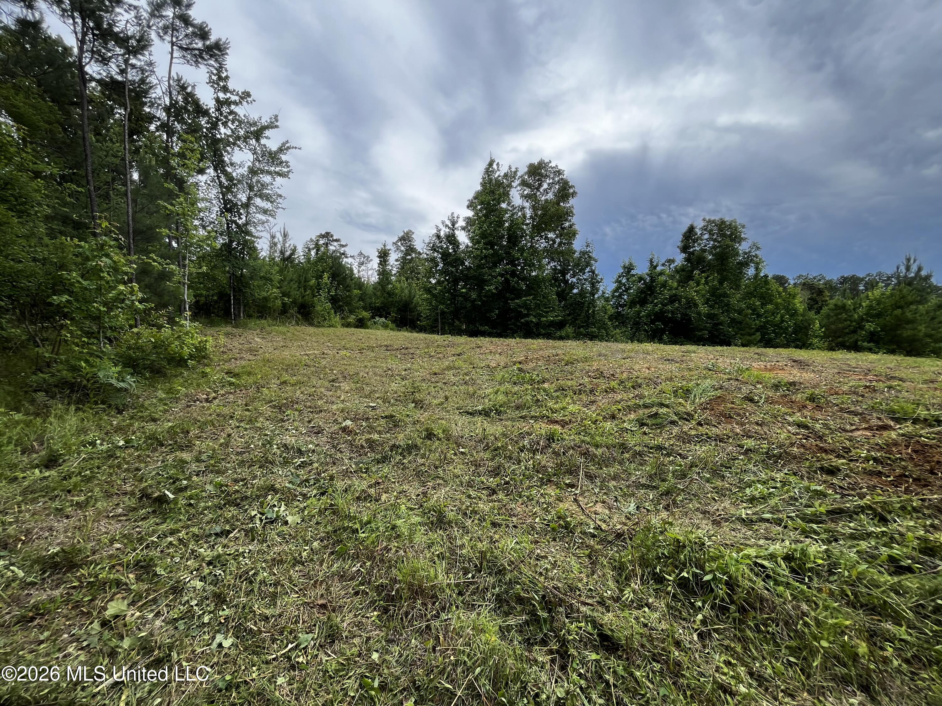 Cline Road Wesson, MS 39191 - Photo 4 of 16 IMG_1164