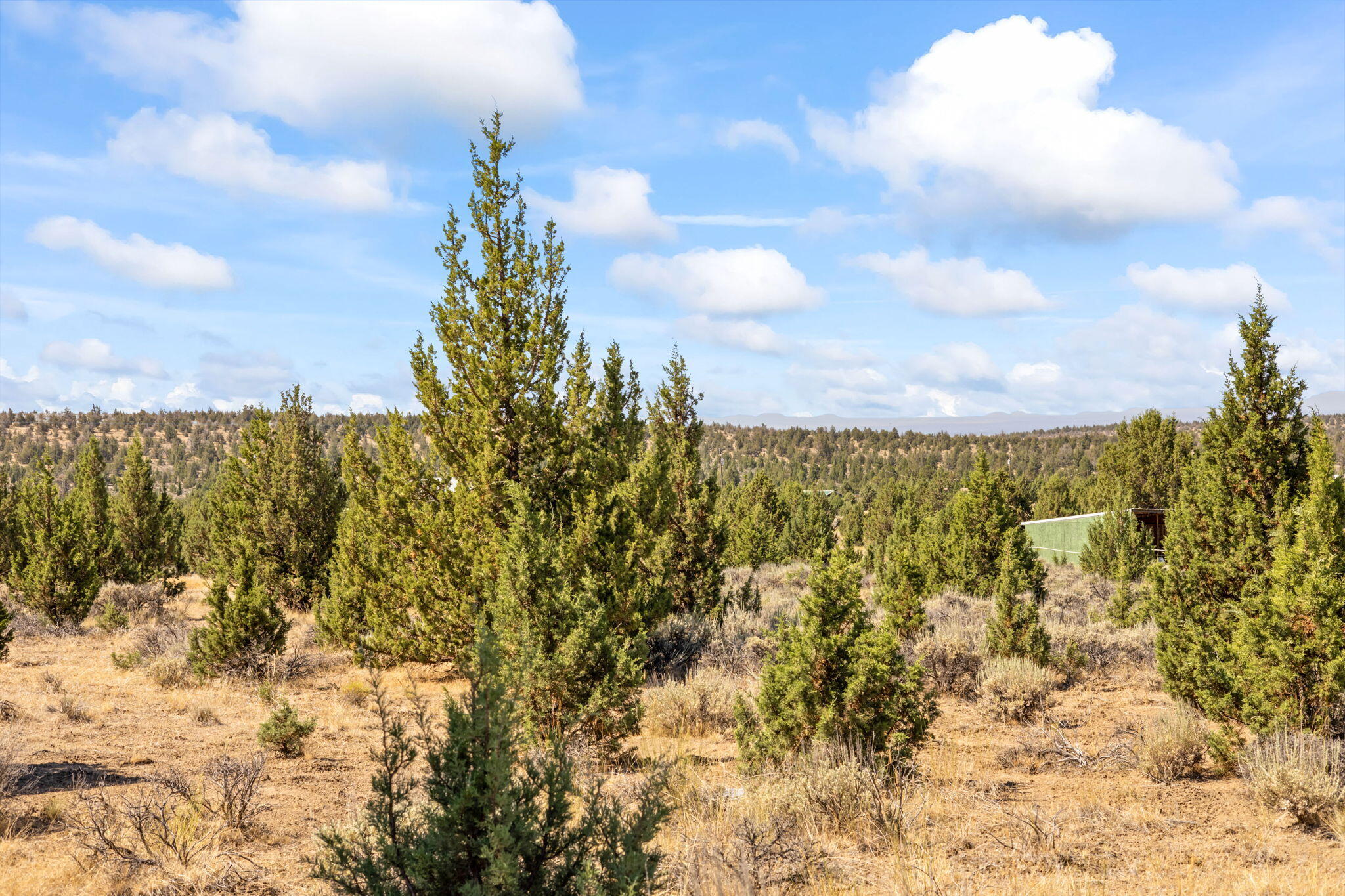 600 Southeast Tacoma Road Prineville, OR 97754 - Photo 13 of 38 13-web-or-mls-12