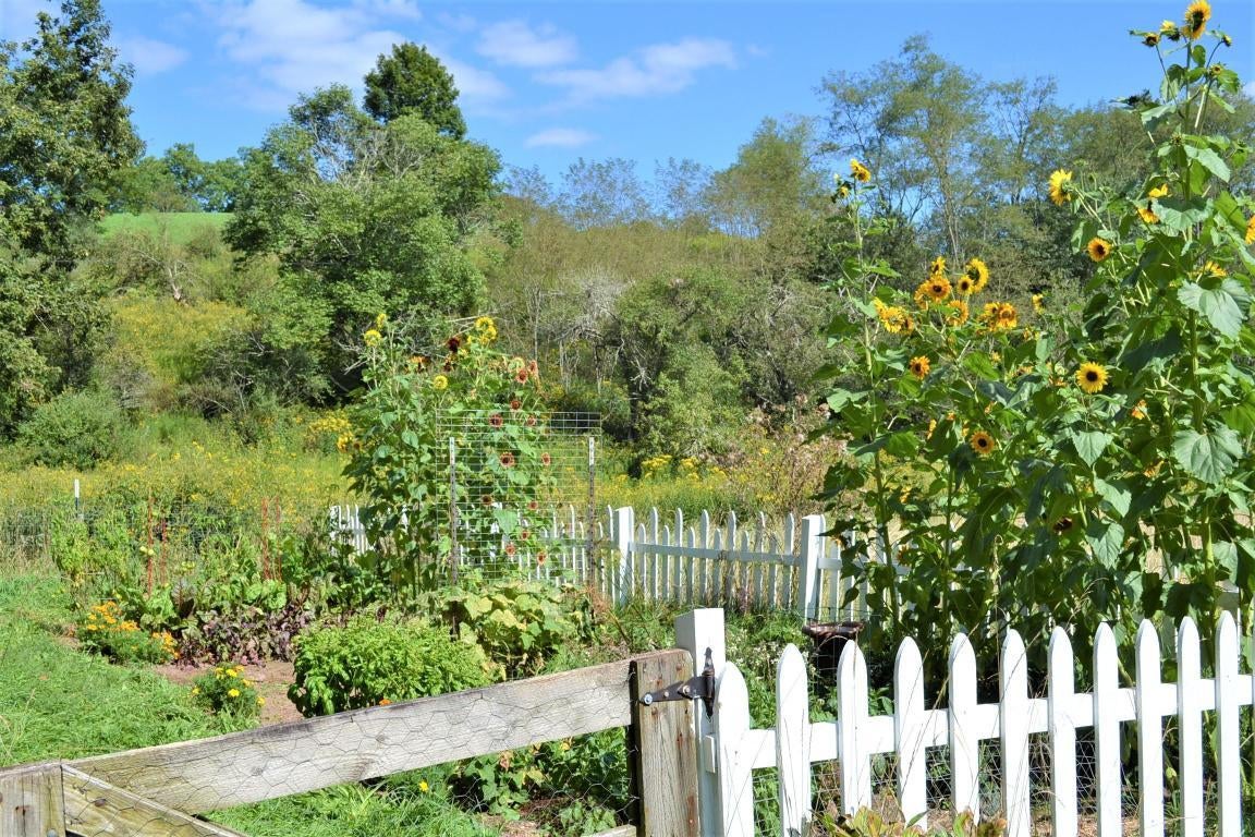 9635 Lobelia Road Hillsboro, WV 24946 - Photo 8 of 29 Gallery Image 8