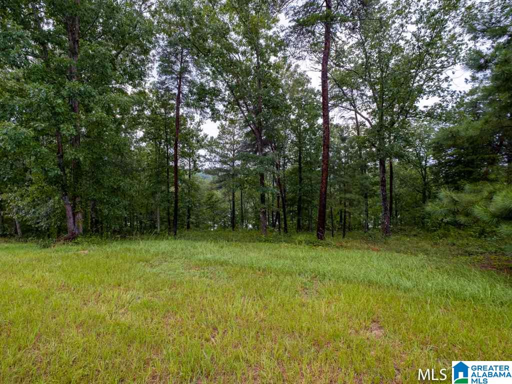 Long Leaf Road, Unit 9 Double Springs, AL 35553 - Photo 15 of 15