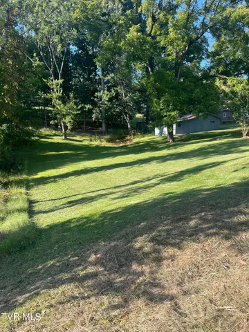 $250,000 | 441 Mimosa Street, Mount Carmel, TN 37645