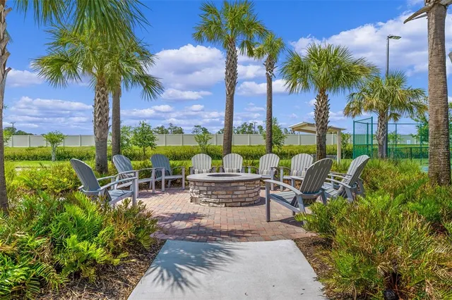 a view of a patio with couches potted plants and a palm tree