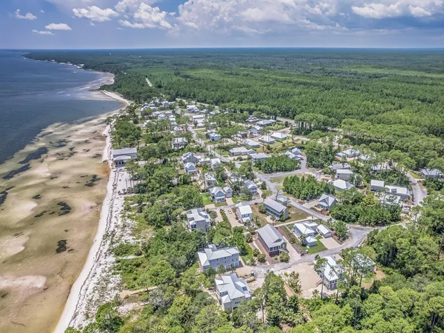 $699,000 | 300 Gull Wing Way Street, Sopchoppy, FL 32358