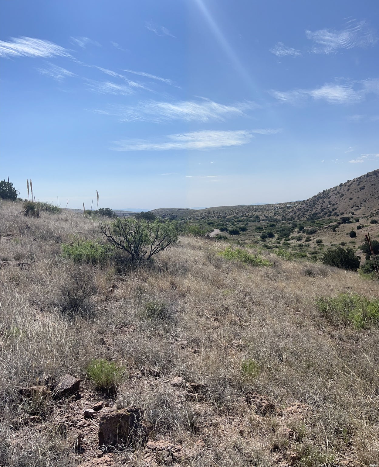 81 Berrenda Road Hillsboro, NM 88042 - Photo 42 of 52 Gallery Image 42