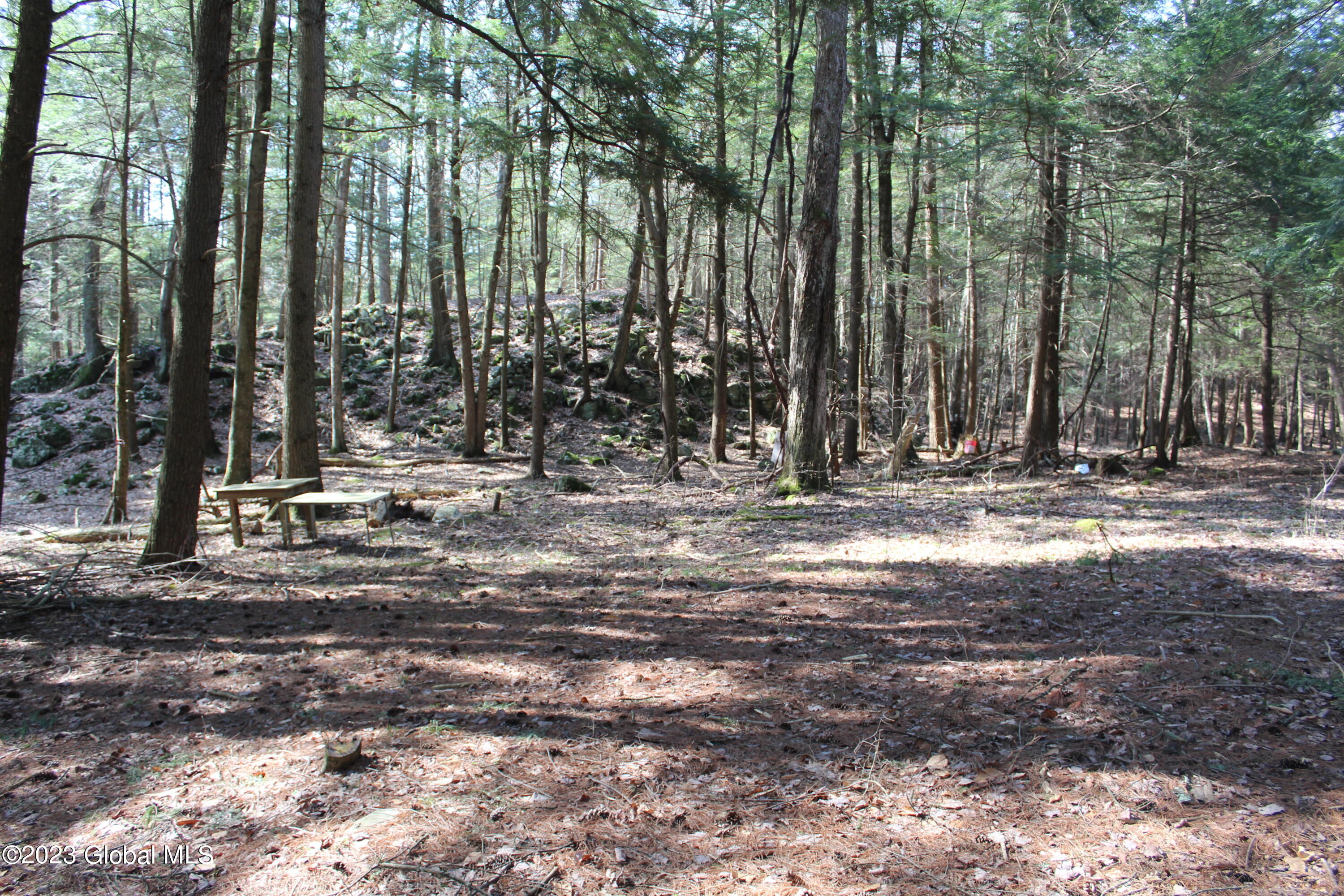 353 W Road Fort Ann, NY 12827 - Photo 1 of 12 IMG_4035 2