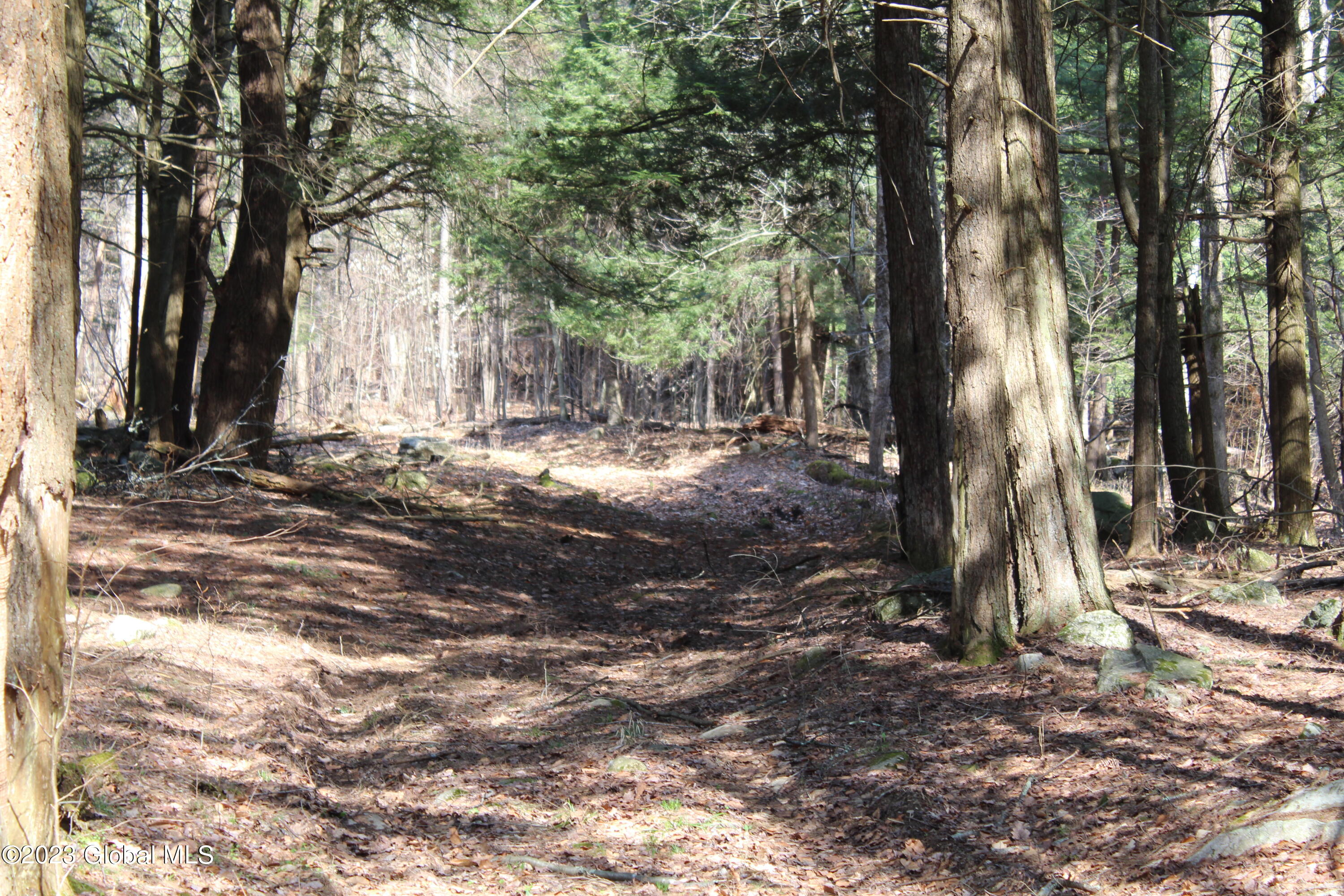 353 W Road Fort Ann, NY 12827 - Photo 4 of 12 IMG_4039