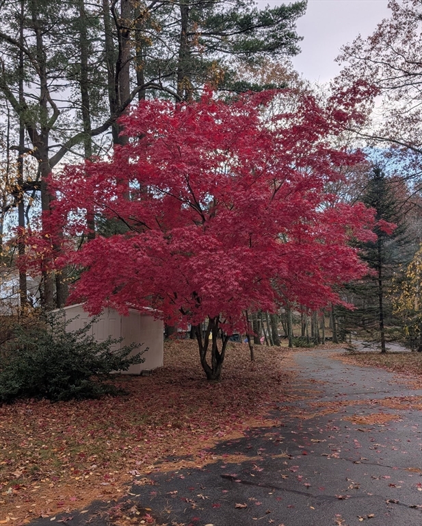 113 Hunter Avenue Hudson, MA 01749 - Photo 38 of 42