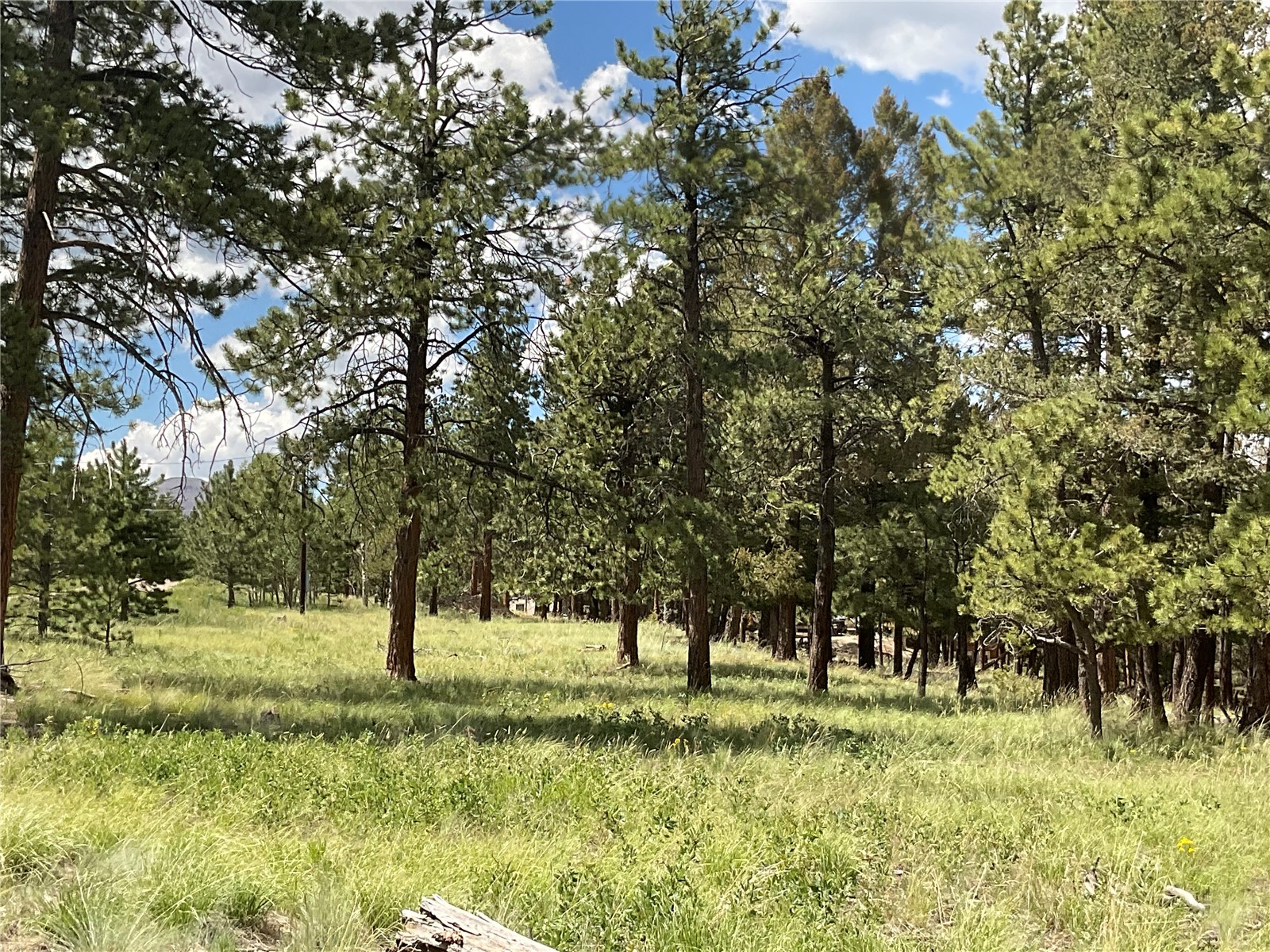 1970 Singletree Road Hartsel, CO 80449 - Photo 13 of 17 Gallery Image 13