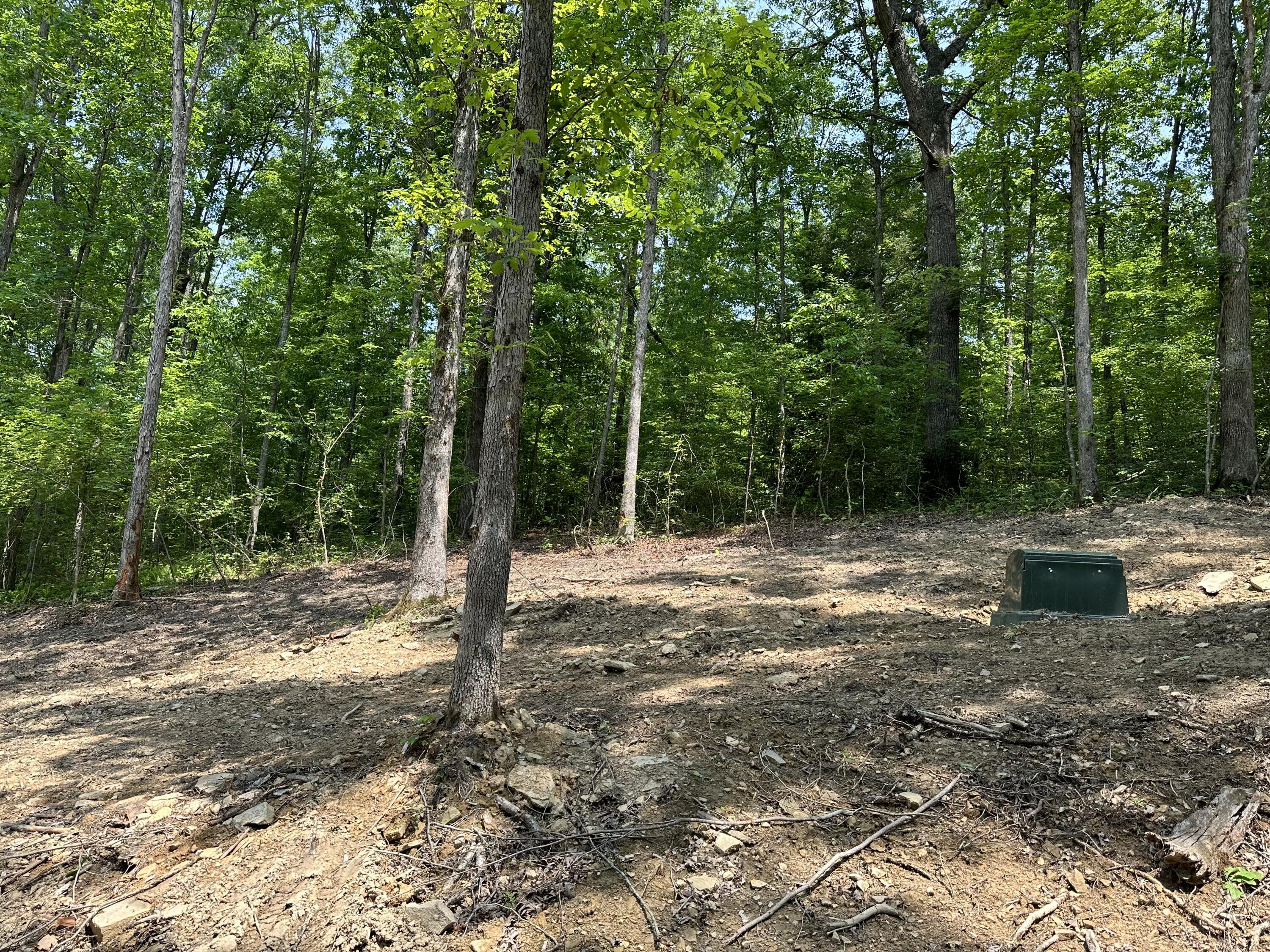 2 Big Sky Road Corbin, KY 40701 - Photo 7 of 17 IMG_5797