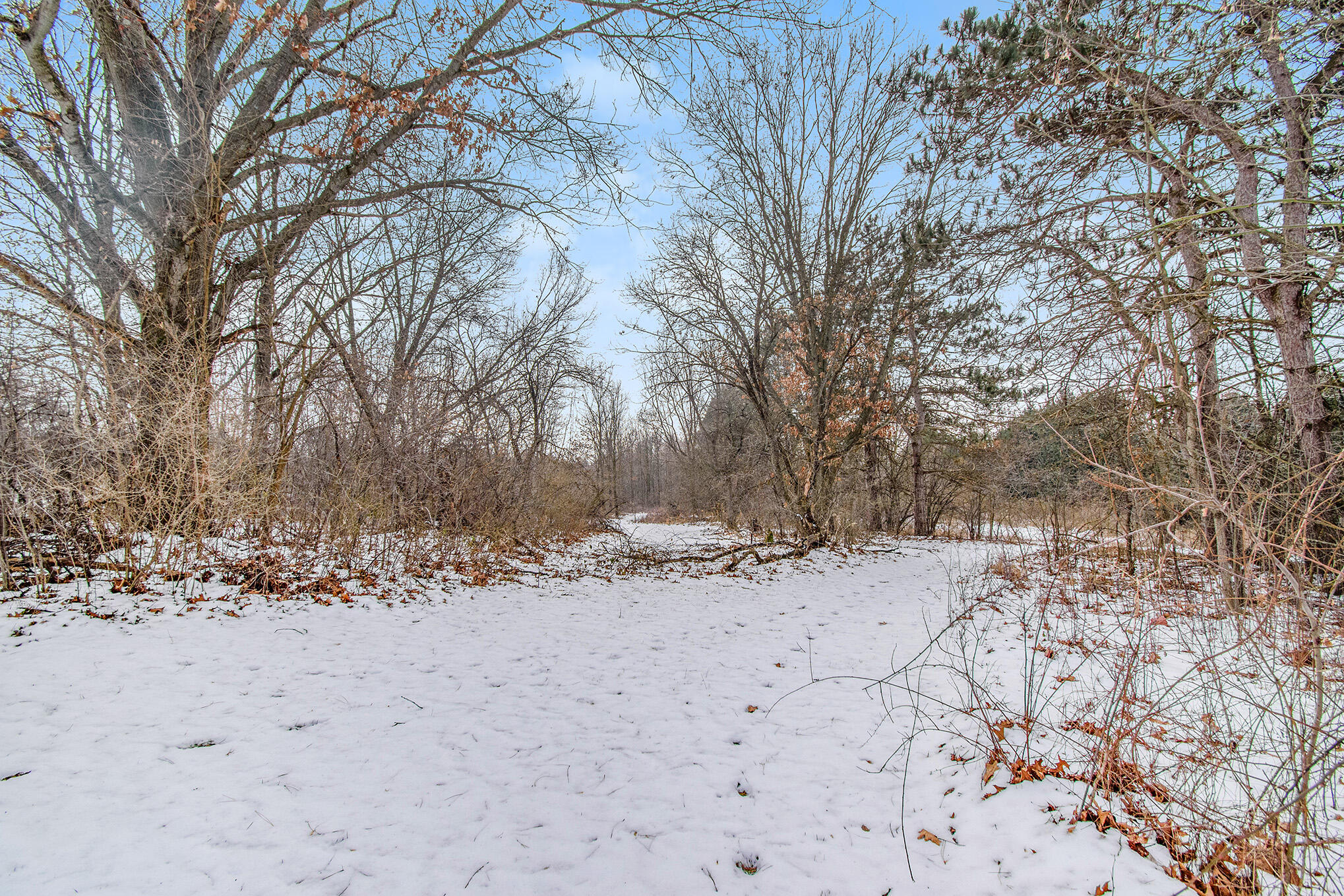 4315 Seymour Road Jackson, MI 49201 - Photo 43 of 58 43