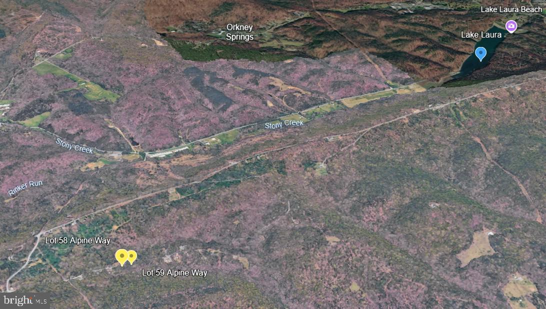 58-59 Alpine Way Mount Mount Jackson, VA 22842 - Photo 3 of 5 Close to Lake Laura